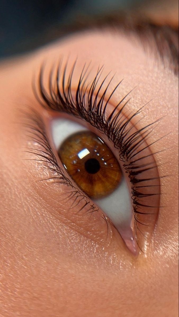 Close-up of a brown eye with lifted, tinted natural lashes after a Korean Lash Lift
